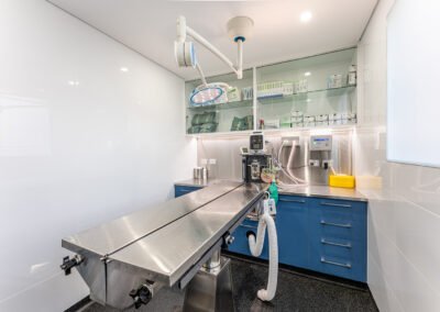 Concord Veterinary Design And Fitout 1